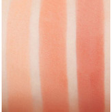 رژگونه سه رنگ شیگلم مدل Private Cabana